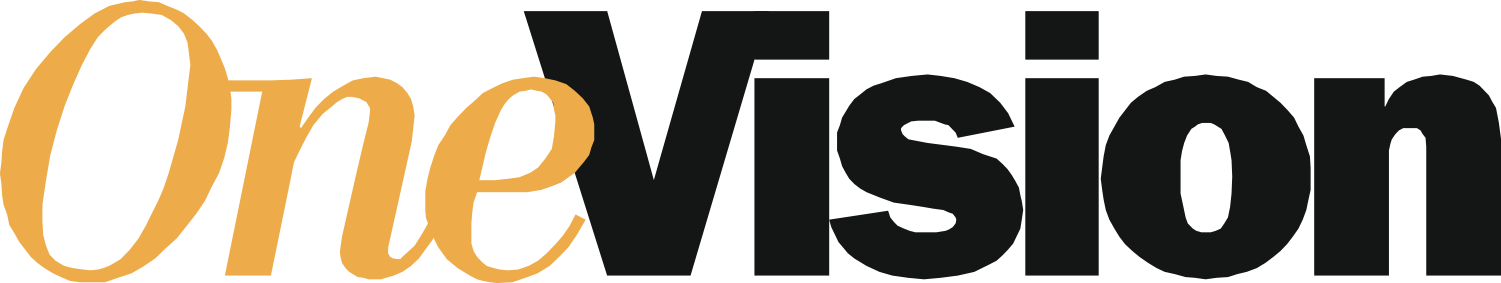 OneVision logo